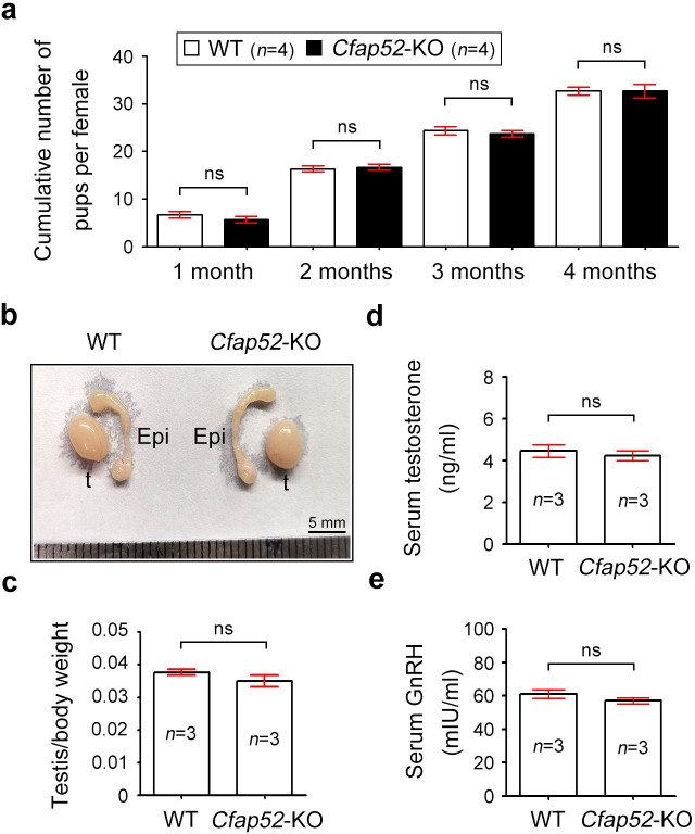 Figure 4—figure supplement 3.