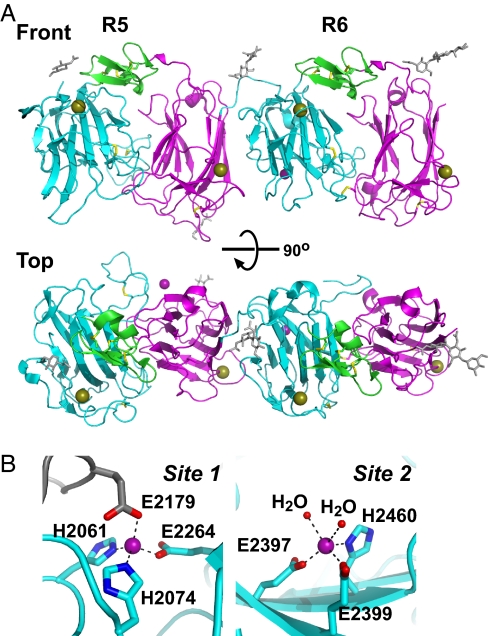 Fig. 3.