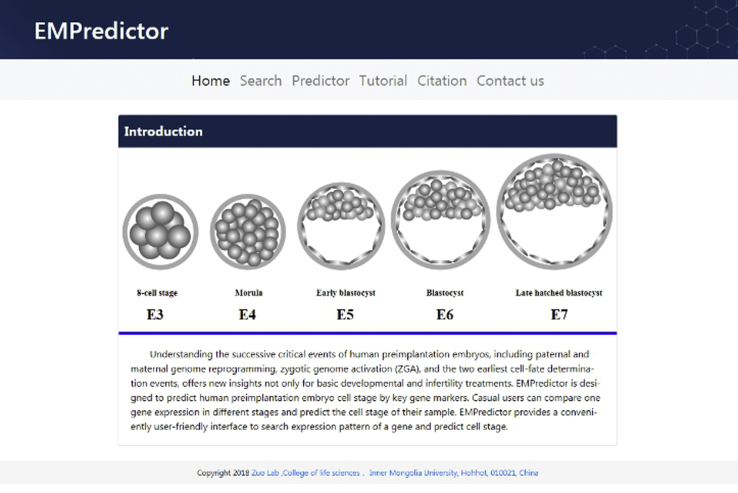 Figure 5