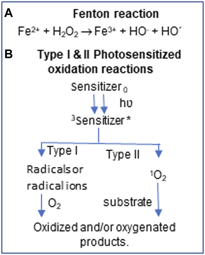 SCHEME I