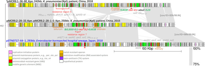 FIG 3