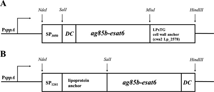 FIG 1