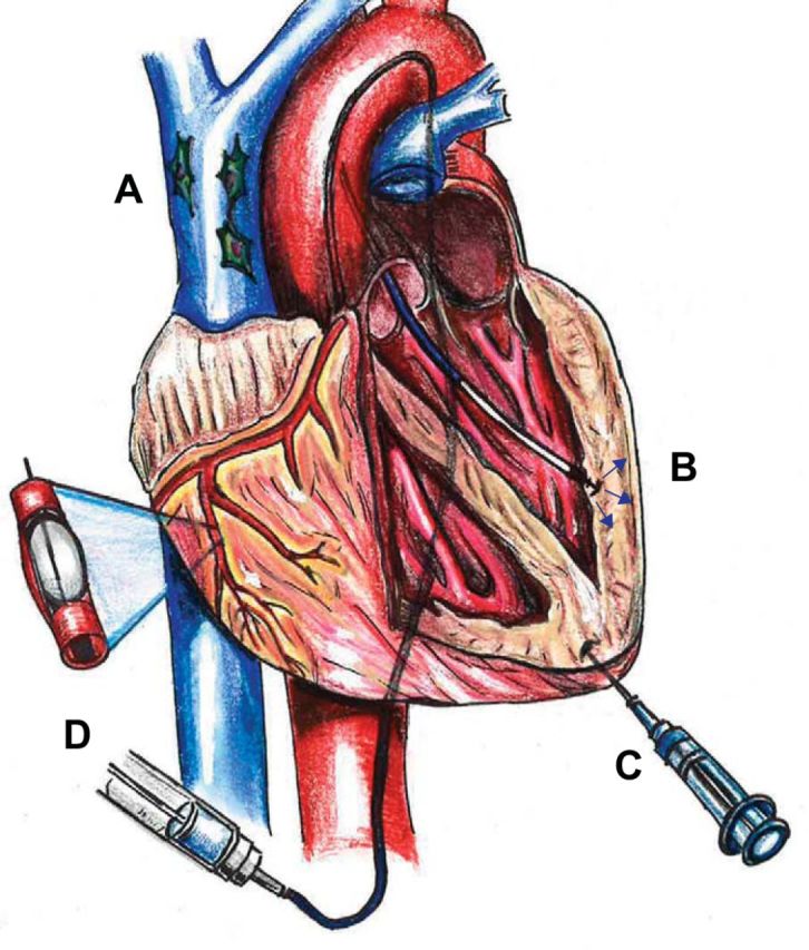 FIGURE 10.