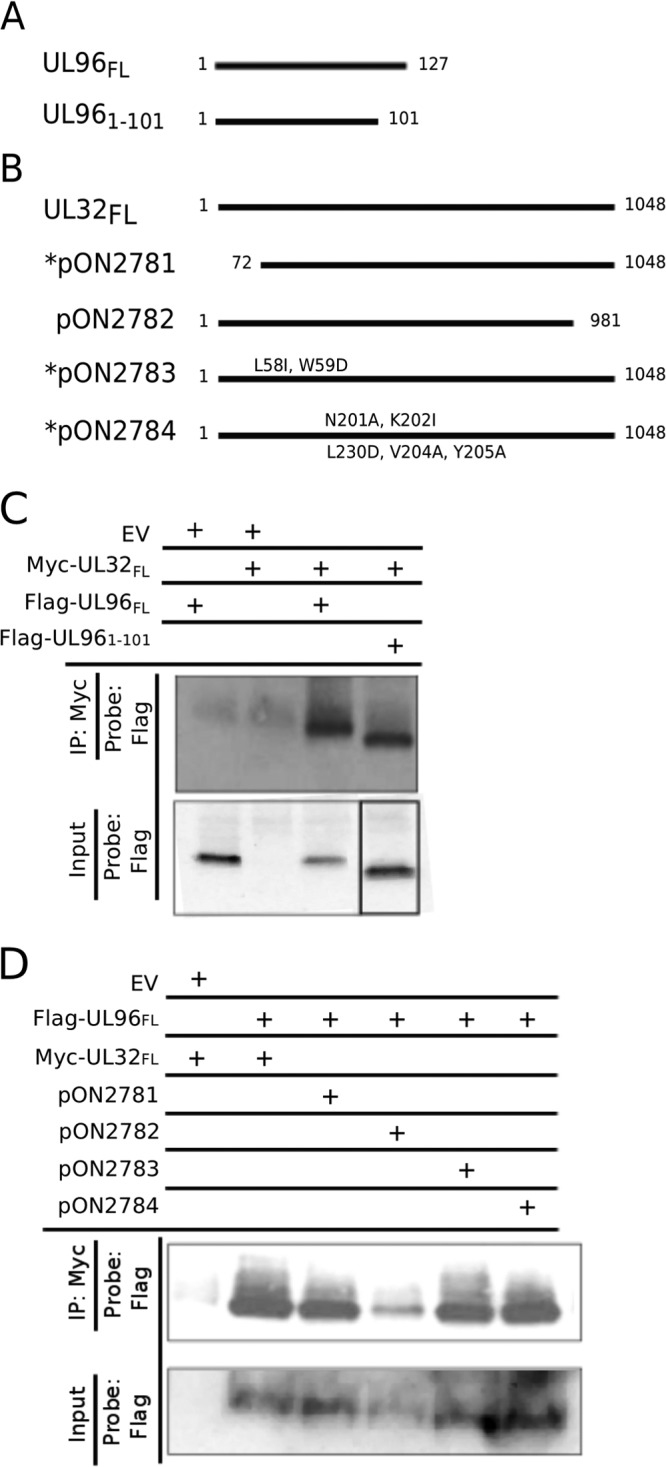 FIG 1