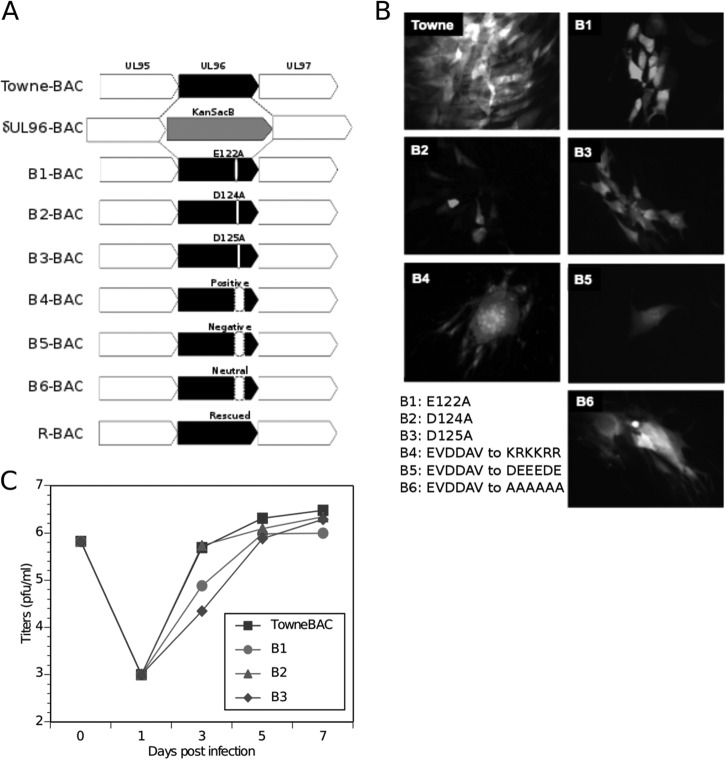 FIG 3