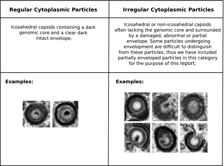 FIG 6