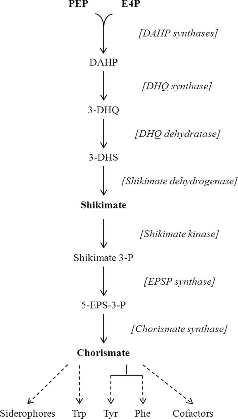 FIG 2