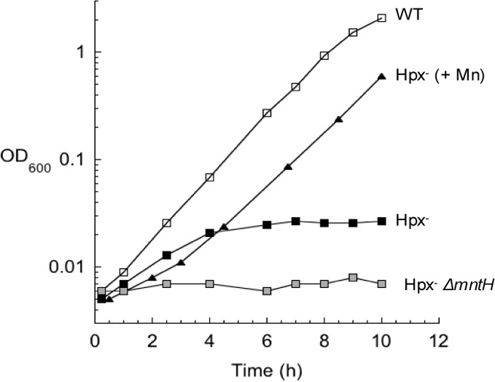 FIG 6