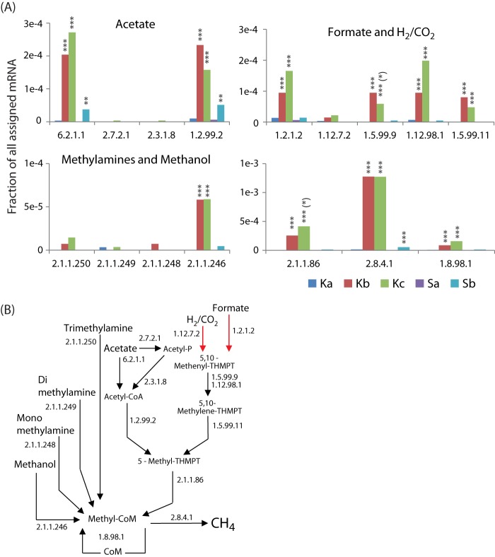 FIG 6