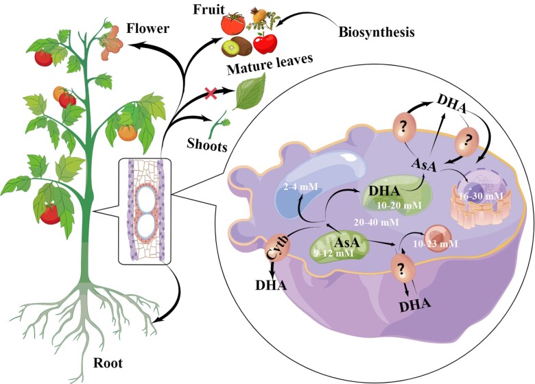 Figure 2.