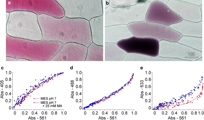 Fig. 6