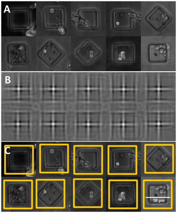 Fig. 3.