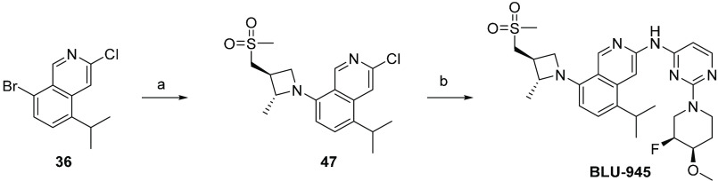 Scheme 4