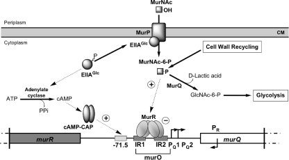 FIG. 6.