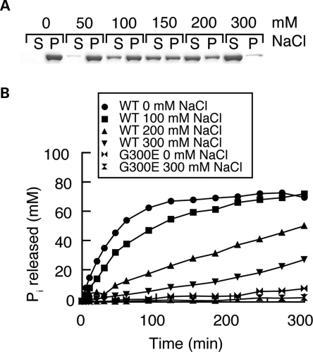 Figure 1.