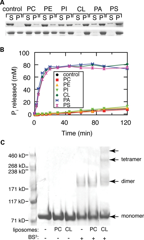 Figure 2.