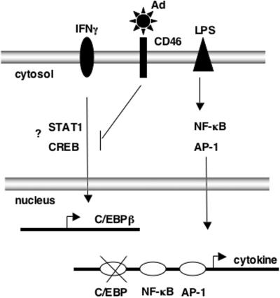 FIG. 6.