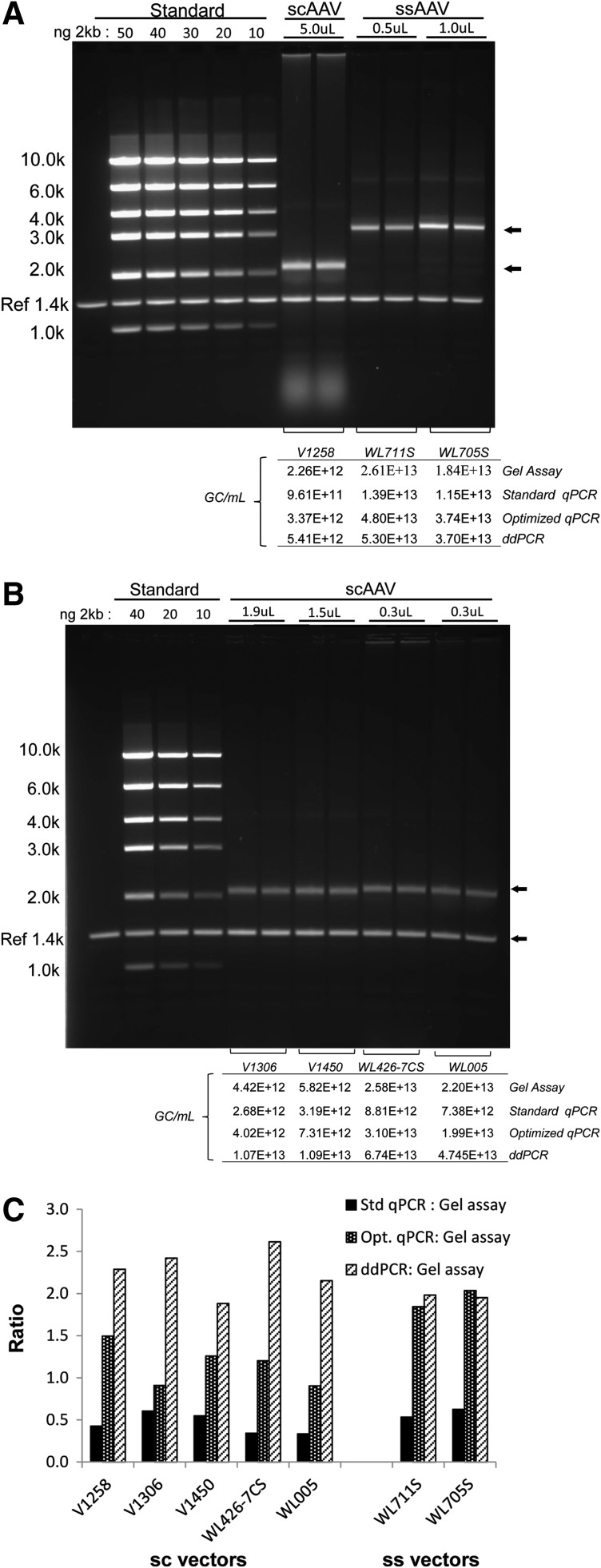 FIG. 3.