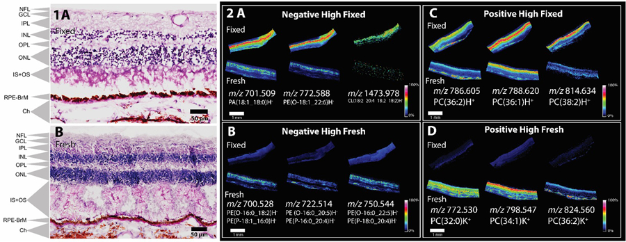 Figure 2: