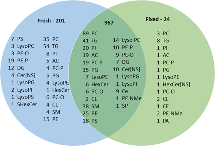 Figure 4: