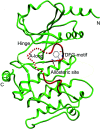 Fig. 7