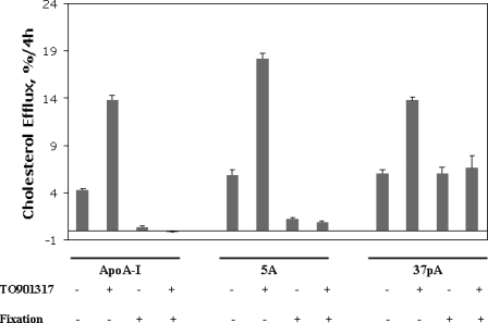 FIGURE 10.