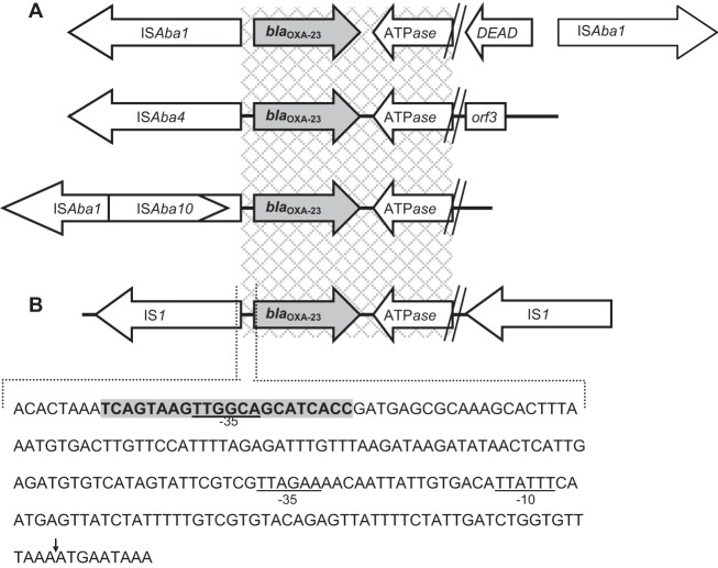 FIG 1