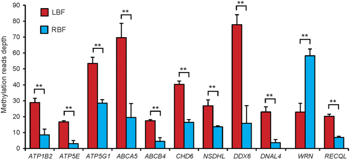 Figure 5