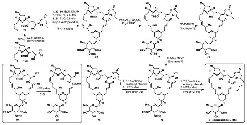 Scheme 14