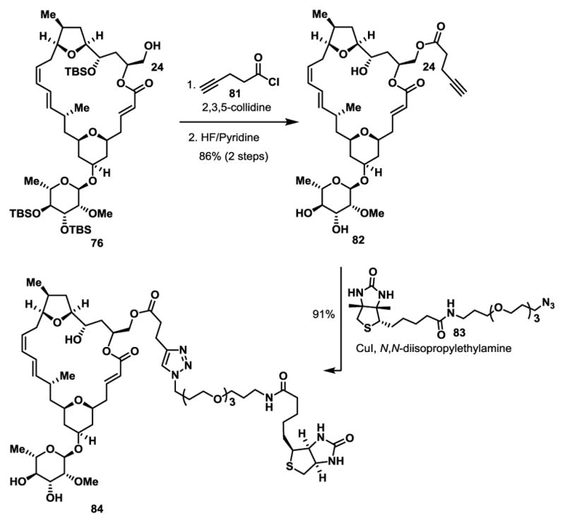 Scheme 15