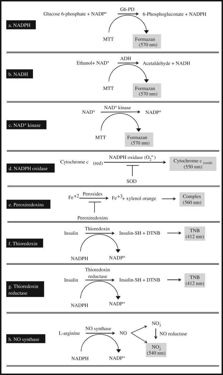 Figure
2.