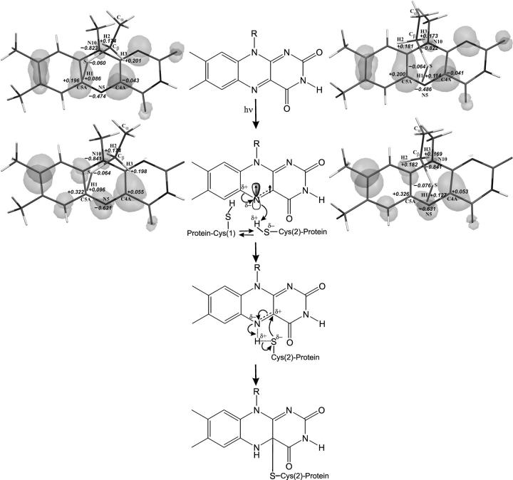 FIGURE 4