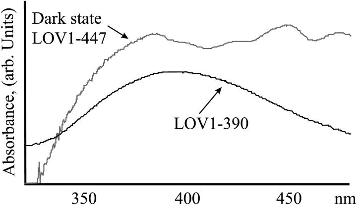 FIGURE 3