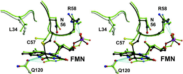 FIGURE 3