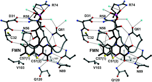 FIGURE 2