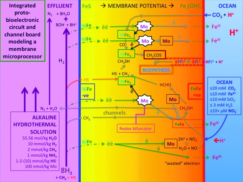 FIG. 7.