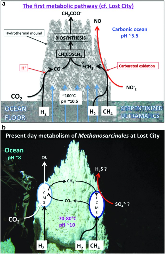 FIG. 6.