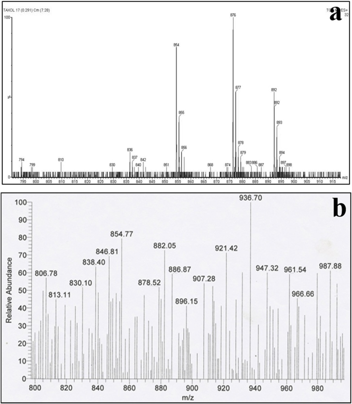 Fig. 9