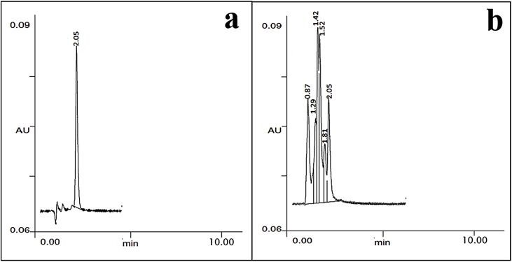 Fig. 11