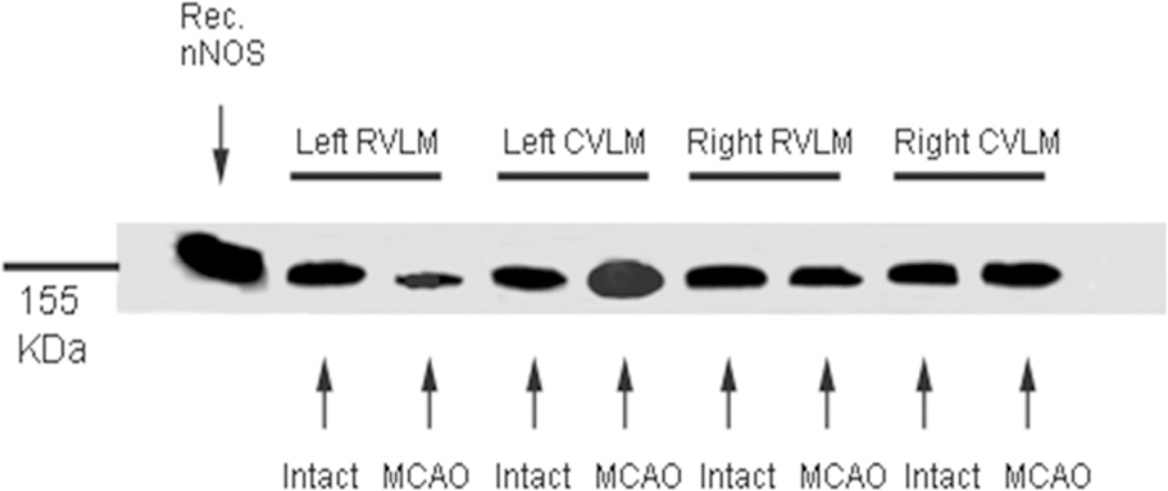 Figure 6: