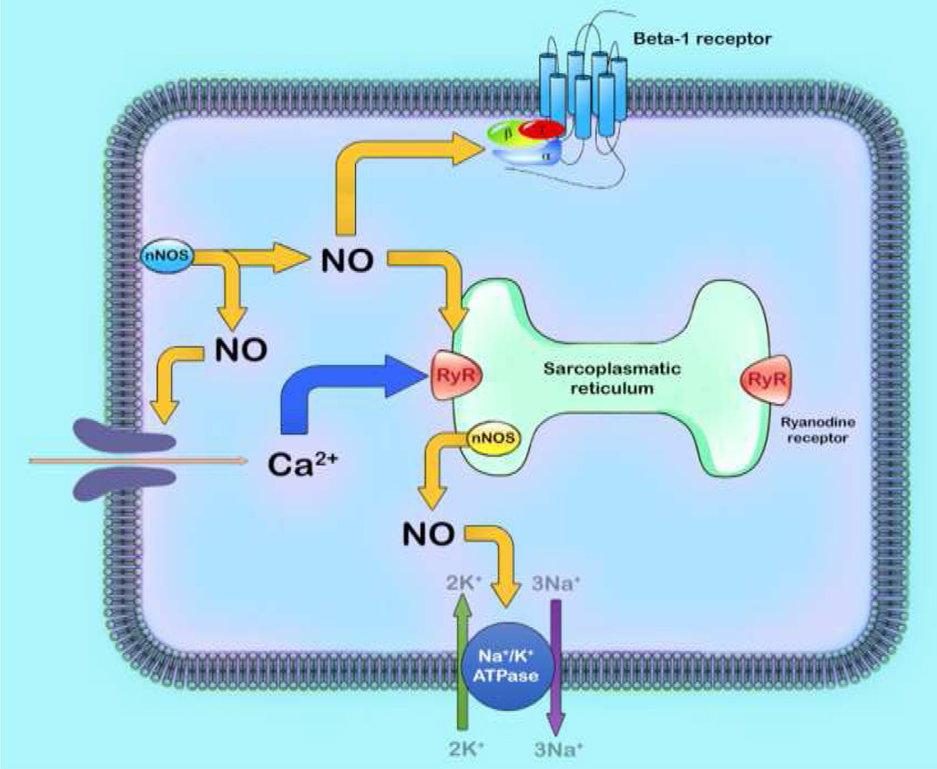 Figure 4: