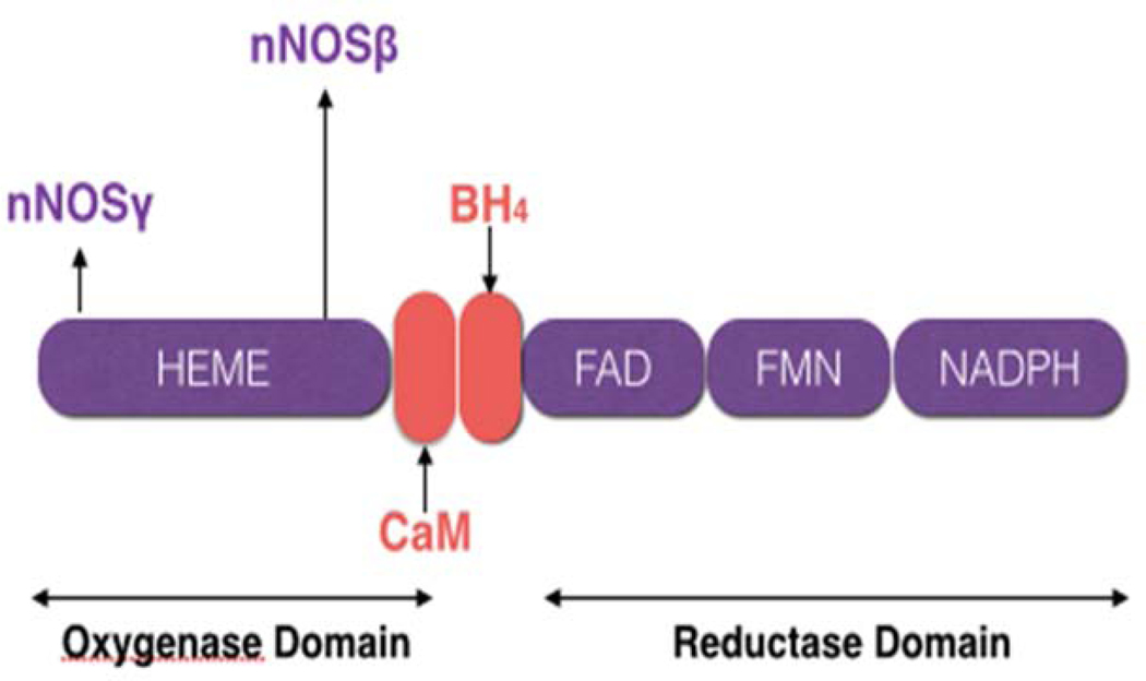 Figure 1: