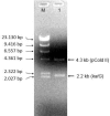 Fig. 4