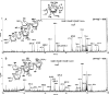 FIG. 7.