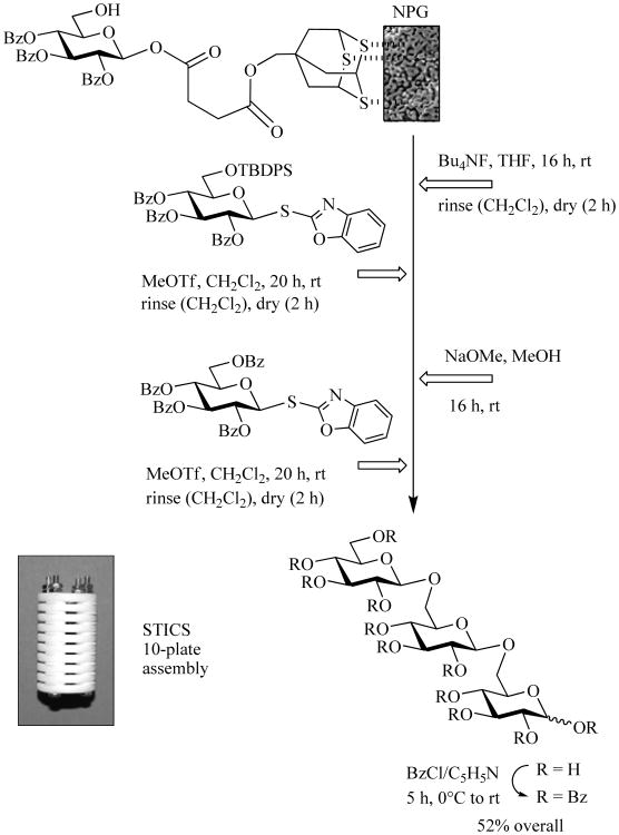 Scheme 10