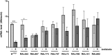 Figure 6—figure supplement 4.