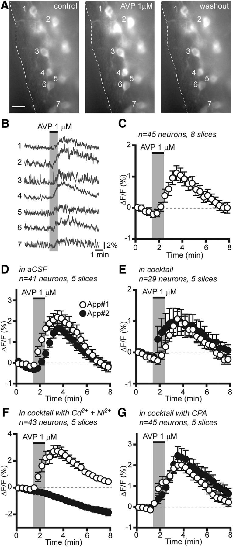 Figure 6.