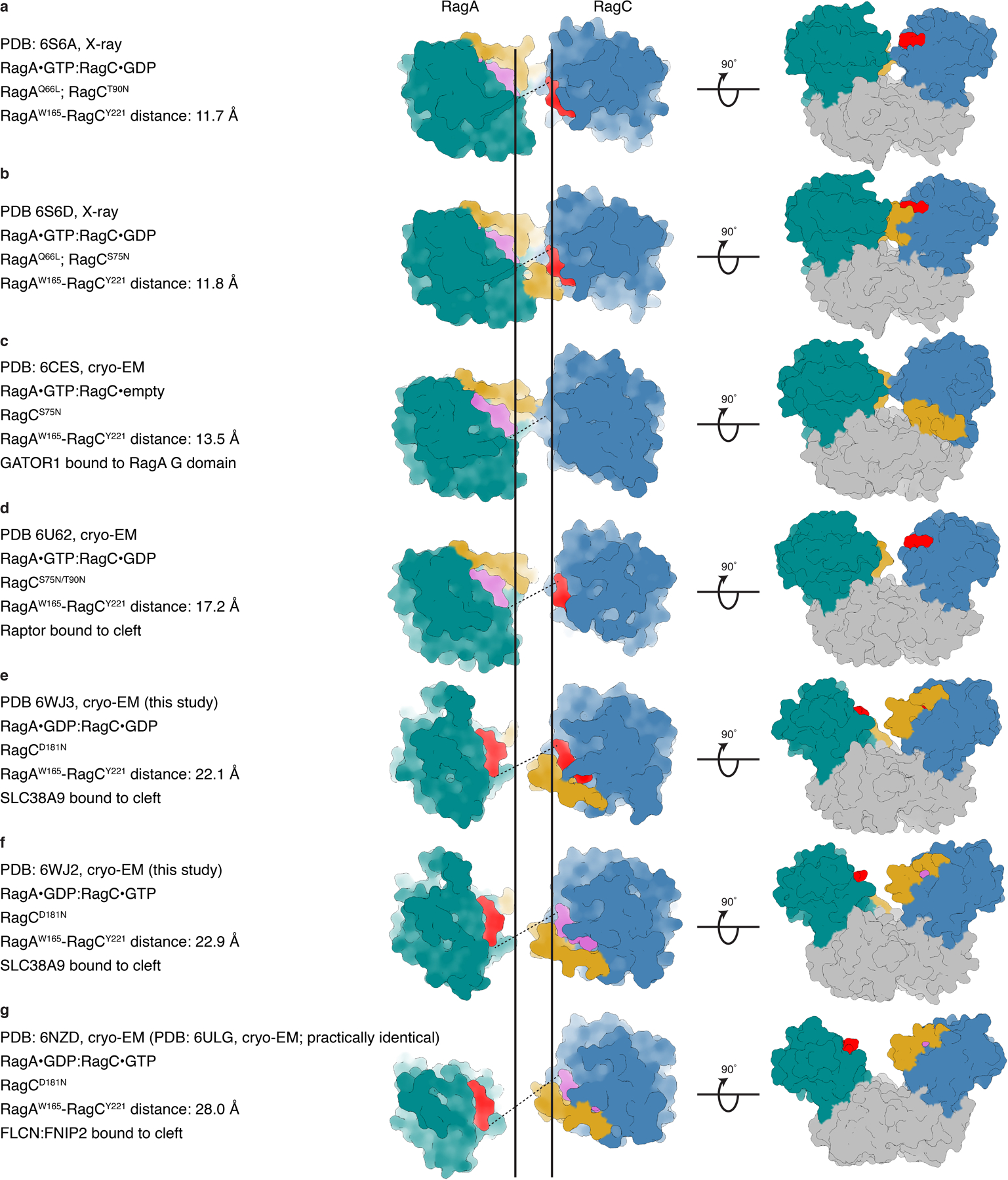 Extended Data Fig. 6