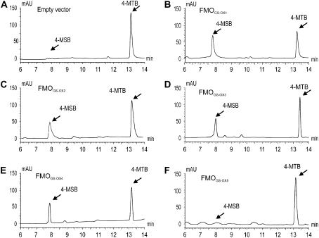 Figure 4.