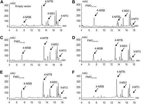 Figure 5.